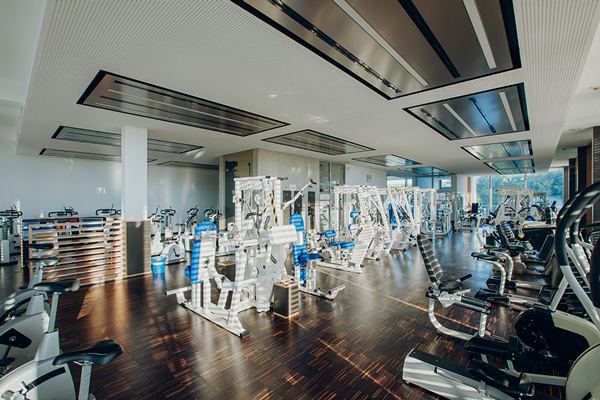 Blick in die manuelle Trainingstherapie Blick in die manuelle Trainingstherapie